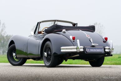 Jaguar XK 140 SE DHC, 1955