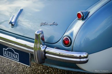 Austin Healey 100/4 BN2, 1956