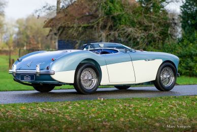 Austin Healey 100/4 BN2, 1956