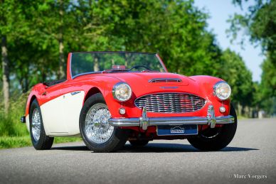 Austin Healey 100/6, 1959