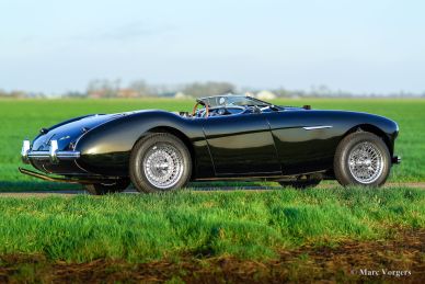 Austin Healey 100/4 BN2 ‘Le Mans’, 1955