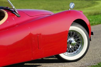 Jaguar XK 120 OTS, 1954