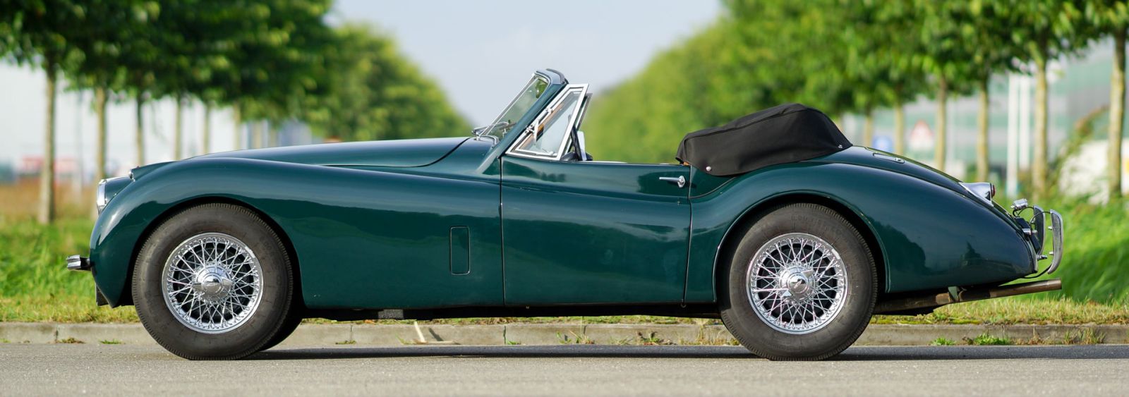 Jaguar XK 120 DHC, 1954