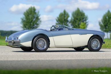 Austin Healey 100/4 (BN1), 1955