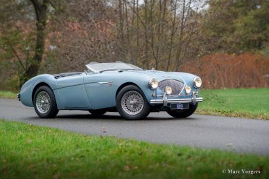 Austin Healey 100/4 BN1, 1955