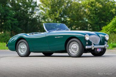 Austin Healey 100/4 BN1, 1955