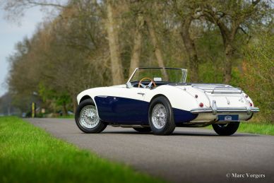 Austin Healey 100/6 BN4, 1957