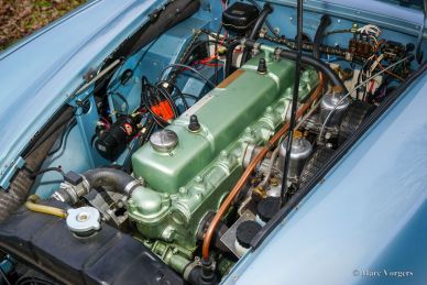 Austin Healey 100/6 BN4, 1957