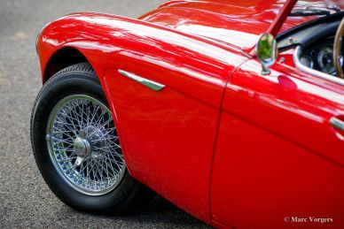 Austin Healey 100/6, 1959