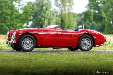 Austin Healey 100/M ‘Le Mans’, 1955