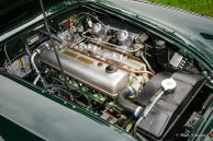 Austin Healey 100/6, 1959