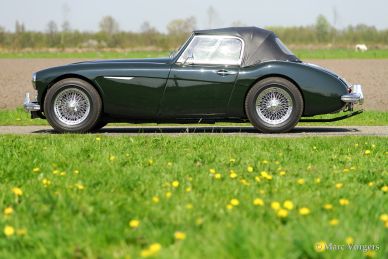 Austin Healey 3000 Mk I, 1959