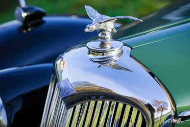 Riley RMF saloon, 1953