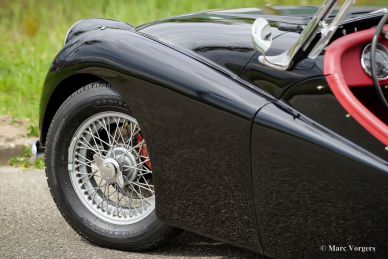 Triumph TR 2 ‘long door’, 1954