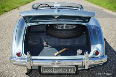 Austin Healey 100/4 (BN1), 1955