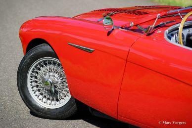 Austin Healey 100/4 'Le Mans', 1954