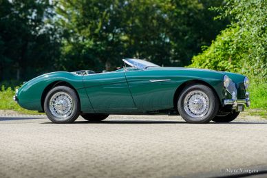 Austin Healey 100/4 BN1, 1955