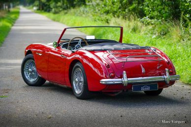 Austin Healey 100/6, 1959