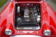 Austin Healey 100/6 Rally Car, 1958