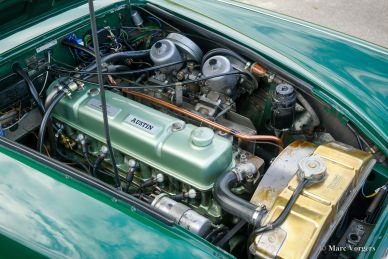 Austin Healey 3000 Mk 3 ph 2, 1966