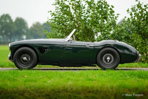 Austin Healey 100/6, 1959