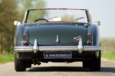 Austin Healey 3000 Mk I, 1959