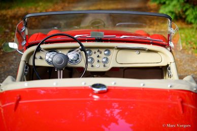 Triumph TR 2, 1954