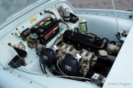 Triumph TR 2, 1954
